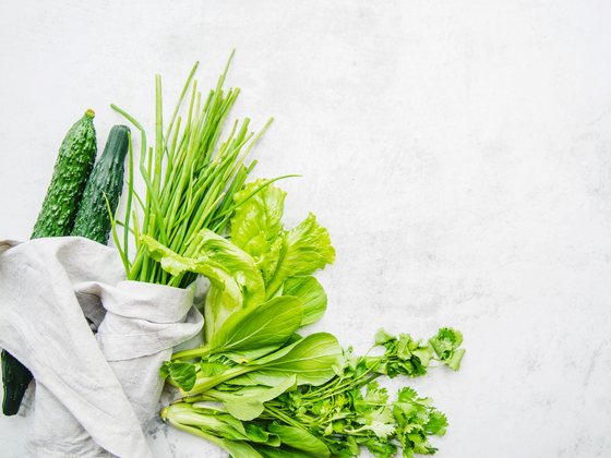 Terms and Conditions at Holistic Healthy Hub